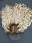 #493 Highest Quality Remy Human Hair Silk Top Lace Front Medical Cap Wig (S) 20”